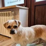 12948/162/24 Arnold - data przyjęcia - 28.08.2024