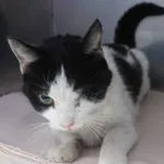 INTERWENCJA 24.08.2024.