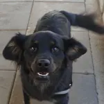 INTERWENCJA 25.08.2024.