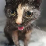 INTERWENCJA 24.08.2024.