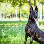 24.07.2024 - Waryńskiego