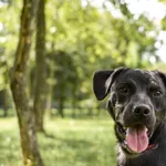 09.07.2024 - Wolność