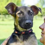 17.07.2024 - Chorzowska