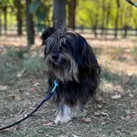 20.08.2024 - Piotra Skargi