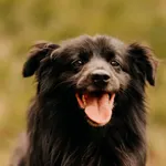 Słodki 616093902899549