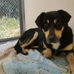 04.09.2024 - Rzymska