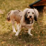 Chmurka 616093902899558