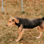 Lord 616093902800130