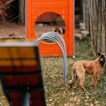 Mania 616093902899531