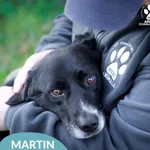 Martin