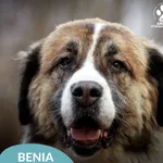 Benia