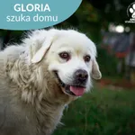 Gloria