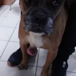 SUCZKA ZNALEZIONA 16.12.2024