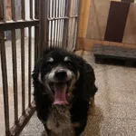 GK/13/4/24- Newton  data przyjęcia - 20.12.2024