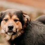 Hugo 616093902899523