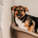 Klara 616093902899650