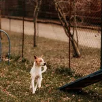 Diesel 616093902800127