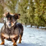 02.01.2025 - Czarnieckiego