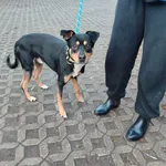 17.12.2024 - Sienkiewicza