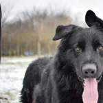 14.11.2024 - Marii Gajl