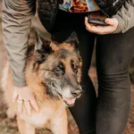 Stella 981189900027910