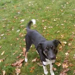 1000zł ///  tel793 149 284