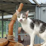 4625/17/25 Sarin  - data przyjęcia - 7.02.2025