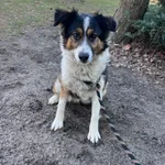 GW229/5/25 Grecia   - data przyjęcia - 17.02.2025