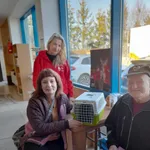 Kot do adopcji, Gdańsk, 18 lutego 2025