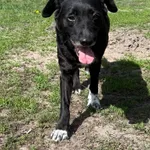 GB/12/4/25  Sindi - data przyjęcia - 28.02.2025