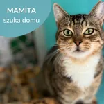 Mamita