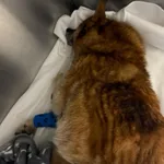 GW/234/8/25 - data przyjęcia - 01.03.2025