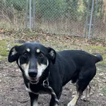 13069/35/25 Skiper  - data przyjęcia - 28.02.2025