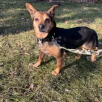 13072/28/25- data przyjęcia - 05.03.2025