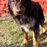 Bordo 616093903032118