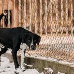 Kevin 616093903032274