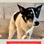 Batman 616093902899685