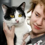 Kot do adopcji, Elbląg, 11 marca 2025