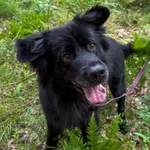 13076/42/25 Roti  - data przyjęcia - 21.03.2025