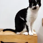 4598/166/24 Tia  - data przyjęcia - 29.11.2024