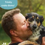 Pies do adopcji, Dąbrówka, 26 marca 2025