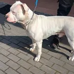 13090/56/25 - data przyjęcia - 13.04.2025