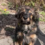 13091/57/25 Hermes - data przyjęcia - 14.04.2025