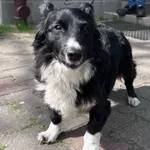 13094/60/25 - data przyjęcia - 18.04.2025