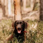 Rubel 616093903032497