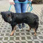 01.04.2025 - Marii Gajl