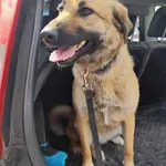 Lusia - ur.ok. 22.10.2022r.