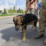 Borys - ur.ok. 01.11.2023r.