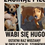 Dziękuję bardzo 😍🙏