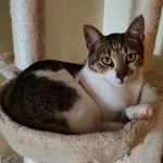 Proszę o pomoc! Zaginął 05.05